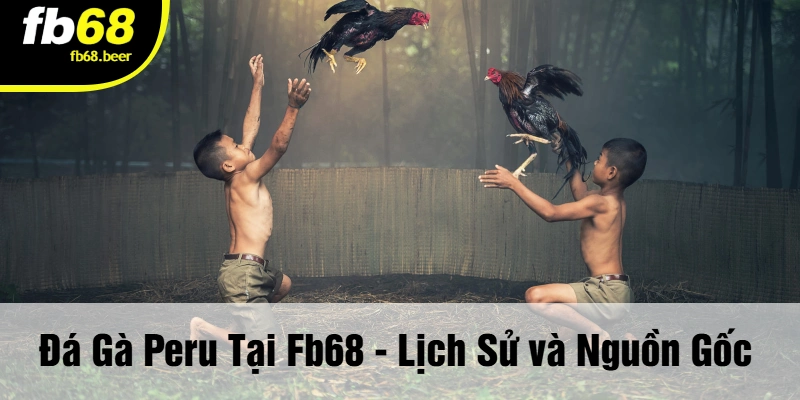Đá Gà Peru Tại FB68 - Lịch Sử và Nguồn Gốc 